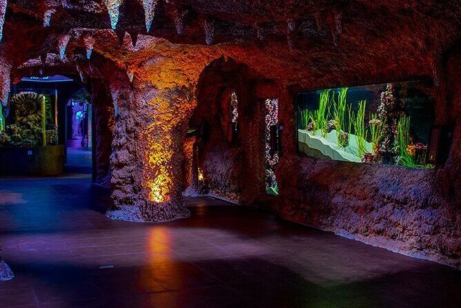 The National Aquarium Abu Dhabi Admission Tickets - The 10 Zones: What to Expect